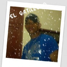 Ver mis fotos