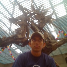 Ver mis fotos