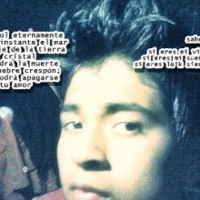 Ver mis fotos