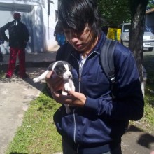 Ver mis fotos