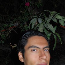 Ver mis fotos