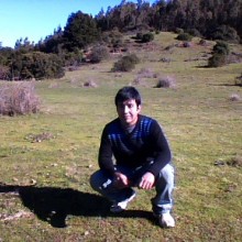 Ver mis fotos