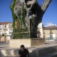 Ver mis fotos