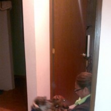 Ver mis fotos