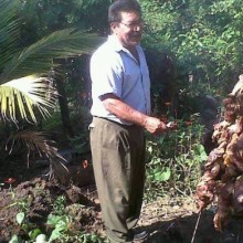 Ver mis fotos