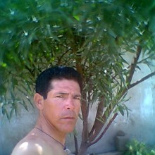 Ver mis fotos