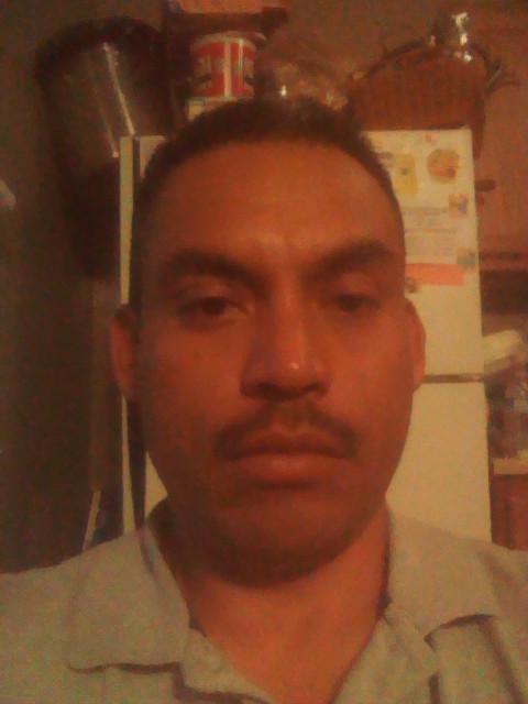 Ver mis fotos