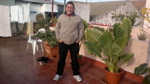 Ver mis fotos