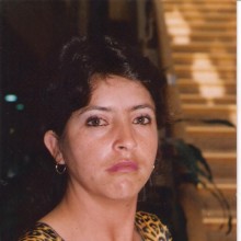 Ver mis fotos