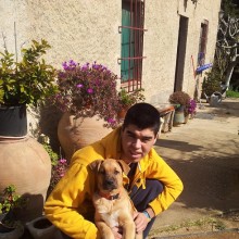 Ver mis fotos