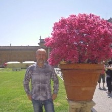 Ver mis fotos