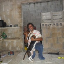 Ver mis fotos