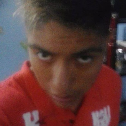 Ver mis fotos