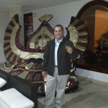 Ver mis fotos
