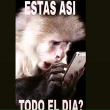 Ver mis fotos