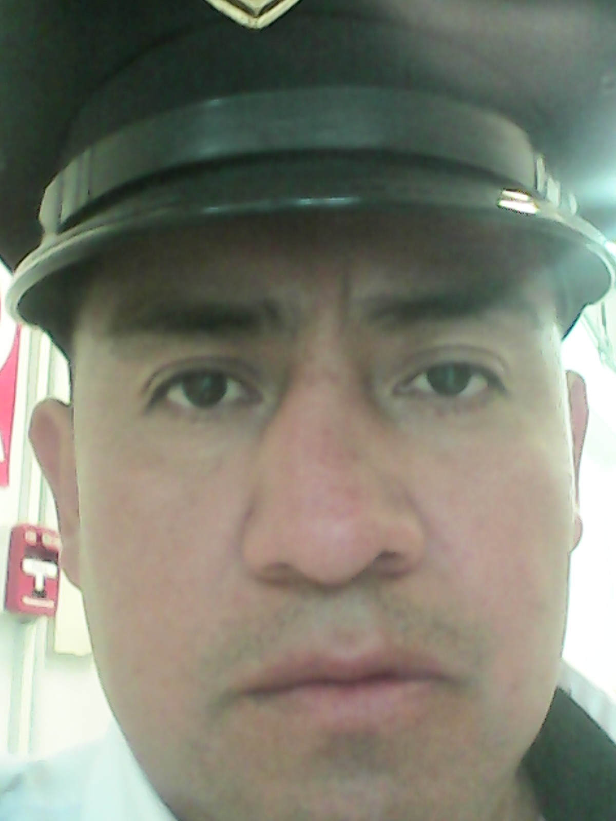 Ver mis fotos