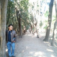 Ver mis fotos