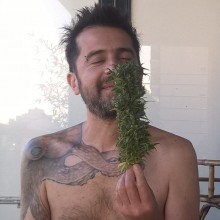 Ver mis fotos