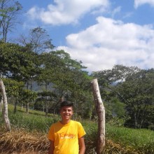 Ver mis fotos