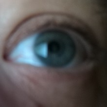 Ver mis fotos