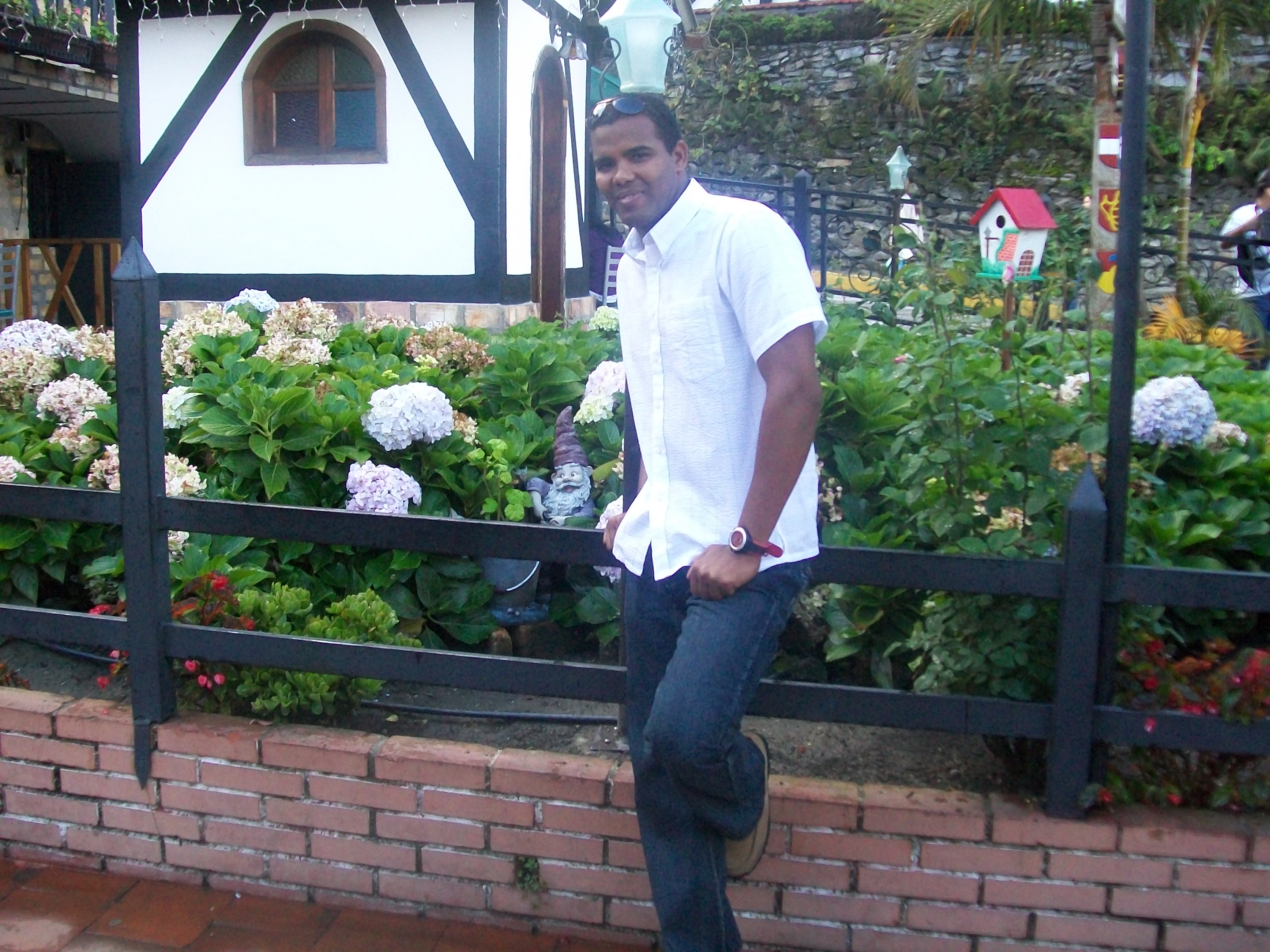 Ver mis fotos