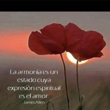 Ver mis fotos