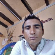 Ver mis fotos