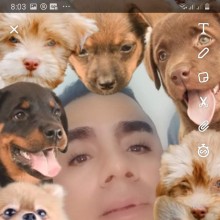Ver mis fotos