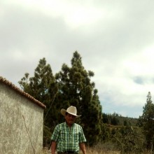 Ver mis fotos