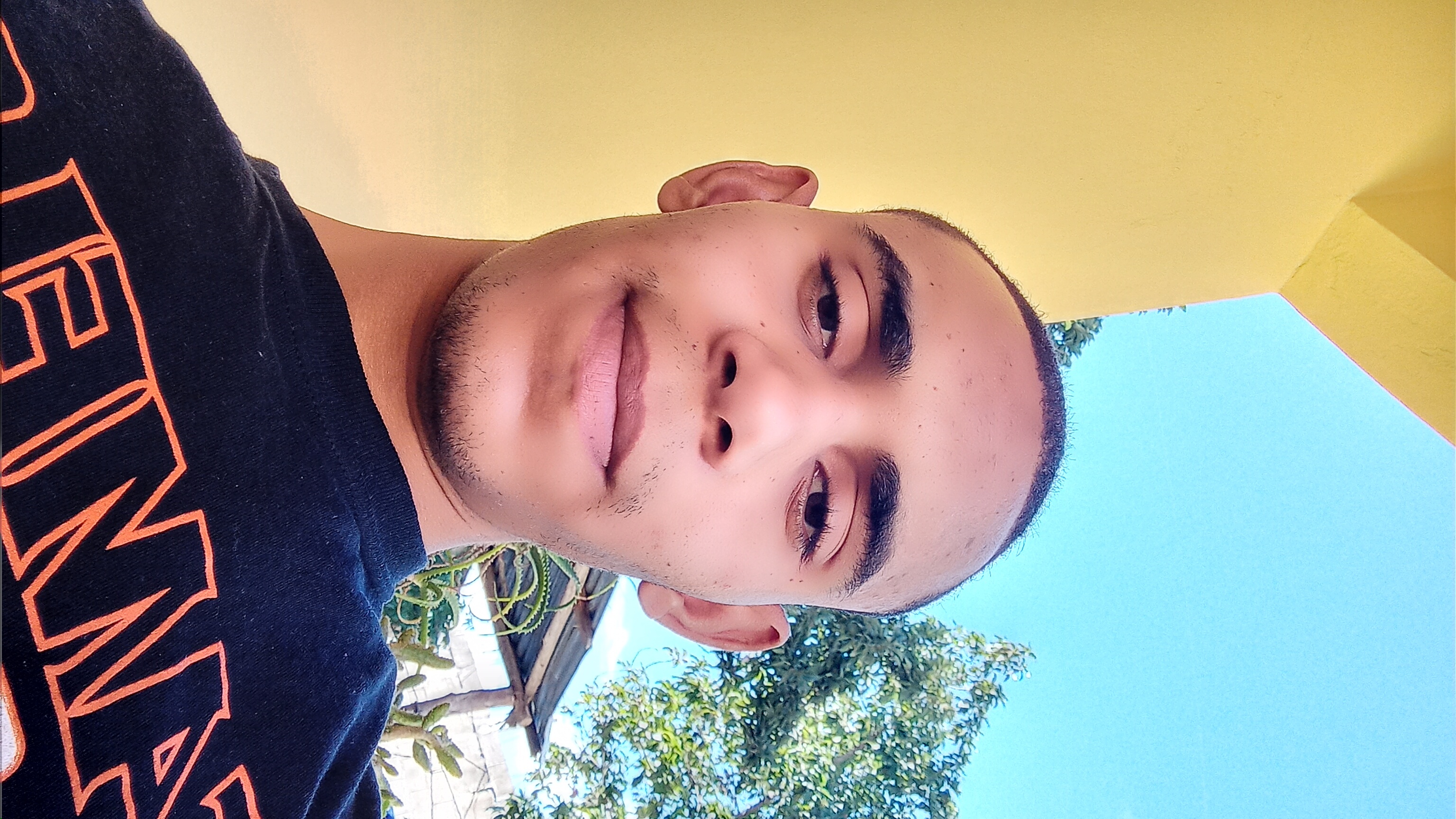 Ver mis fotos