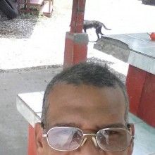 Ver mis fotos