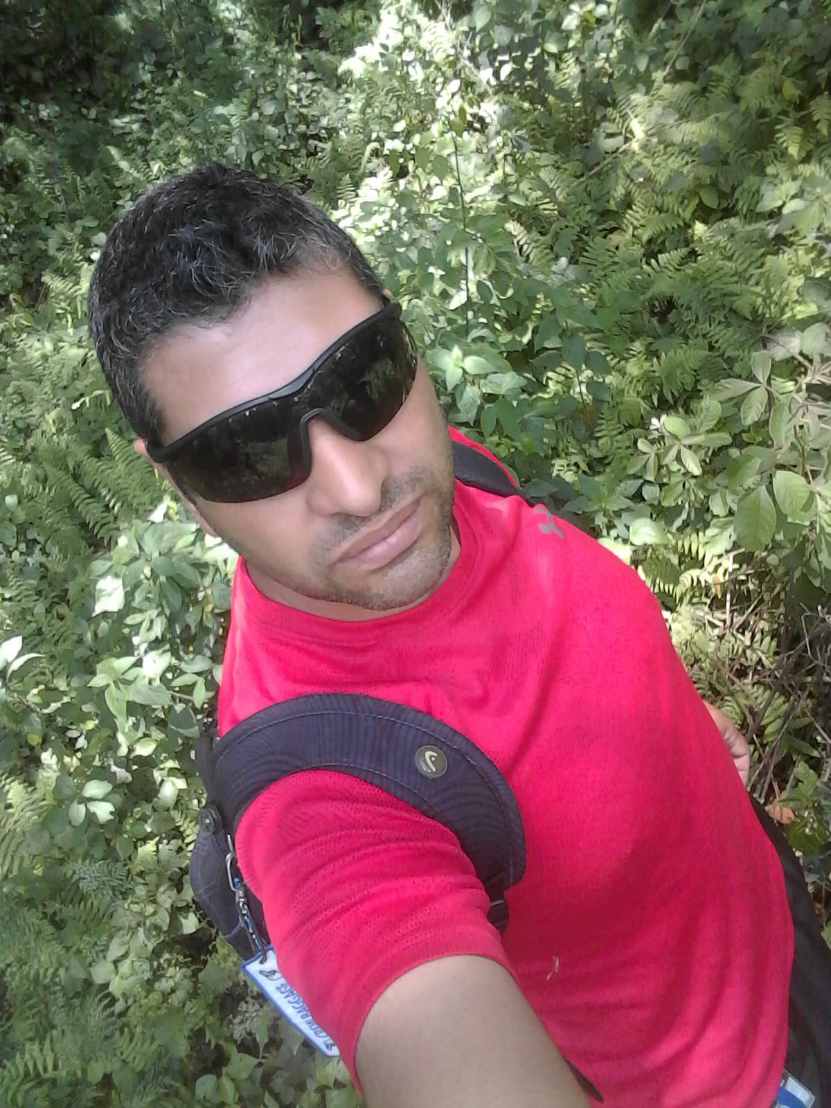 Ver mis fotos