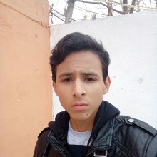 Ver mis fotos