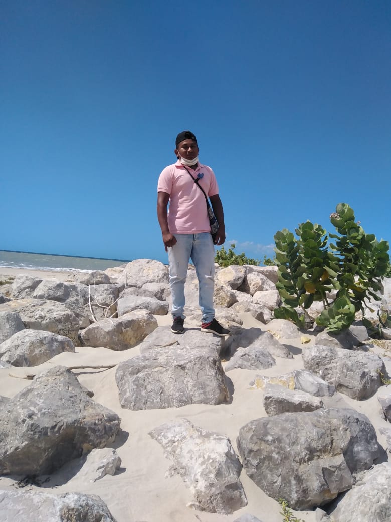 Ver mis fotos