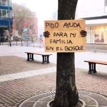 Ver mis fotos