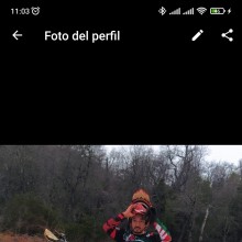 Ver mis fotos