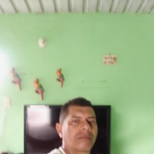 Ver mis fotos