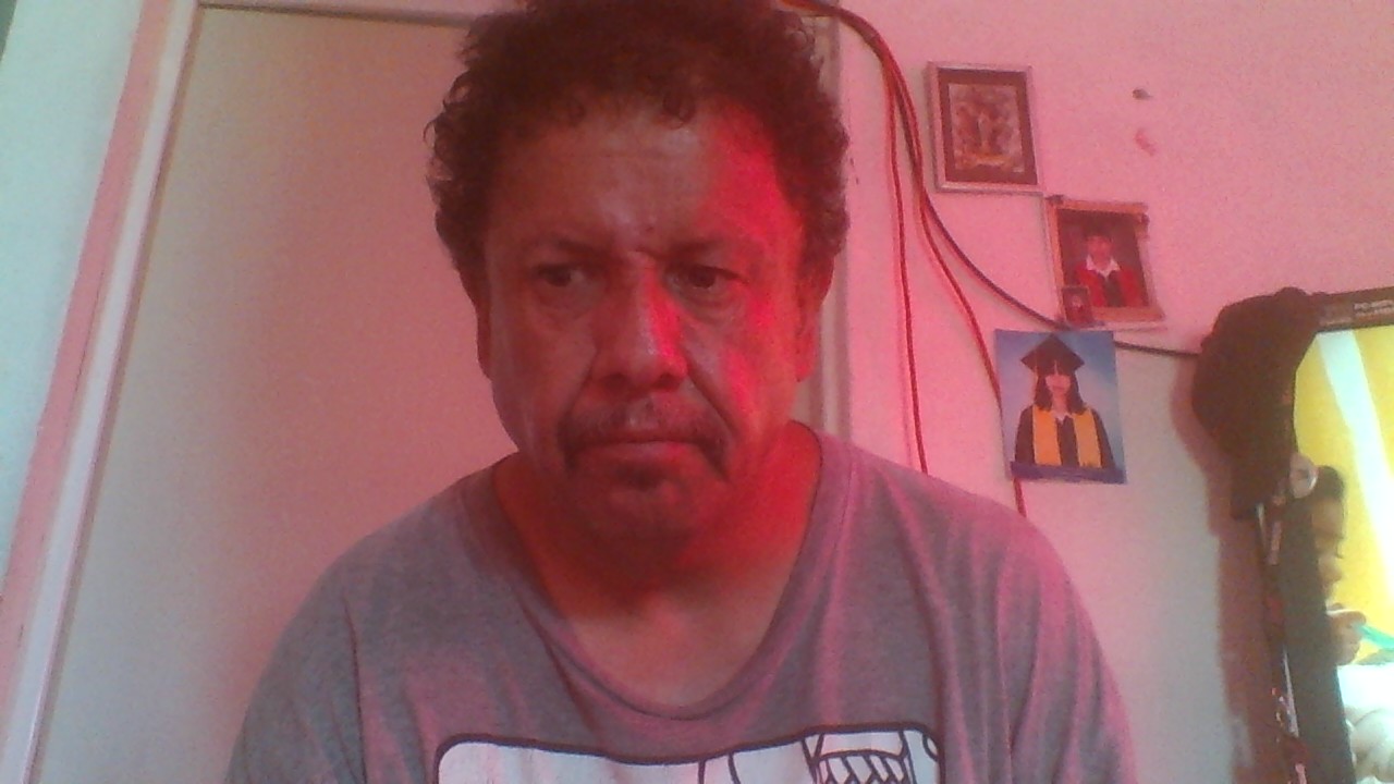 Ver mis fotos