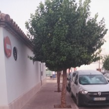 Ver mis fotos