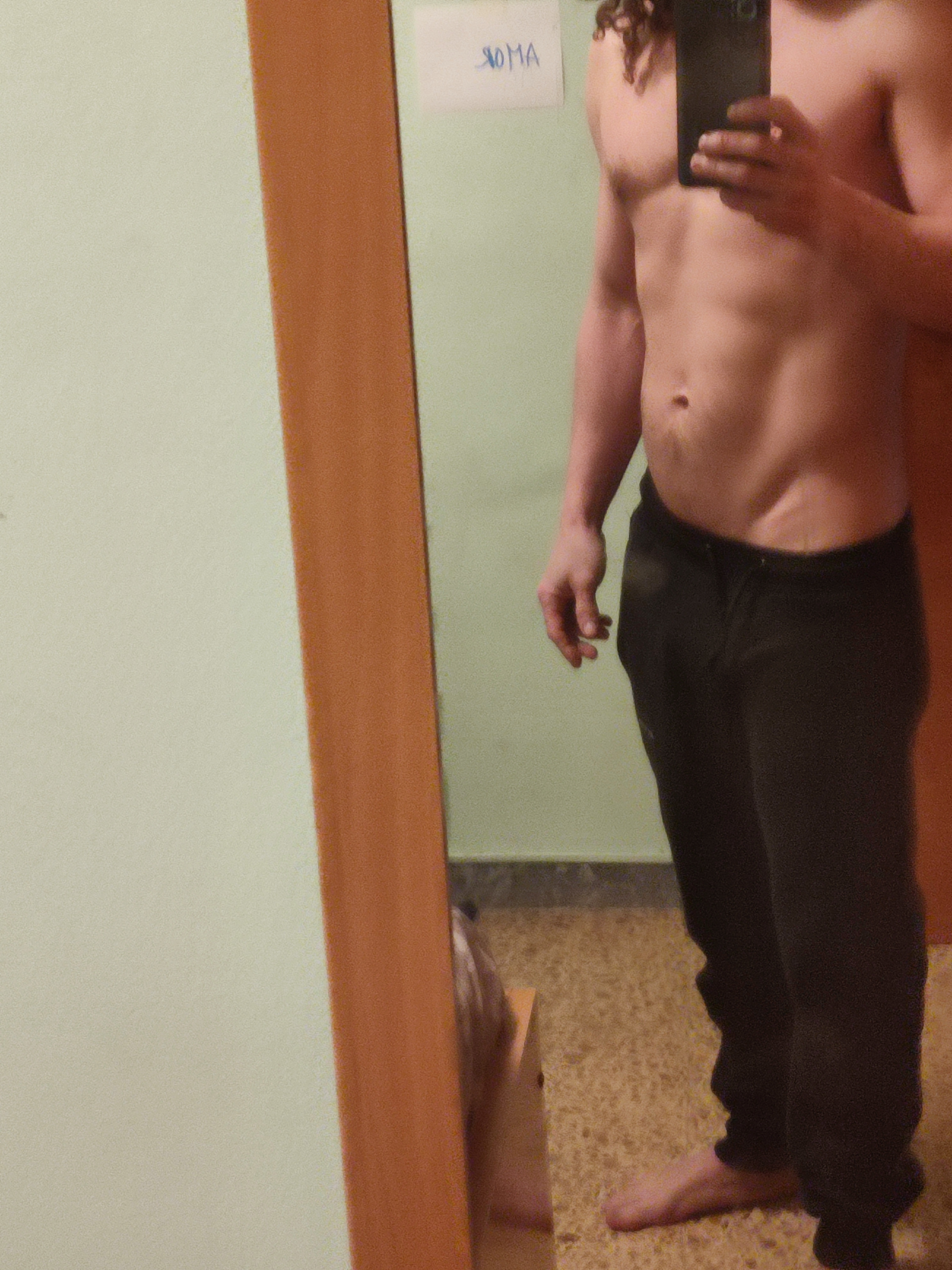 Ver mis fotos
